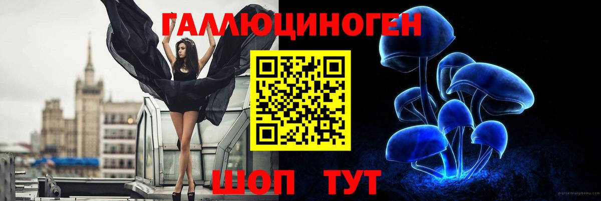 Галлюциногенные грибы Psilocybe  купить   Еманжелинск  Галлюциногенные грибы мицелий  Вход с VPN 